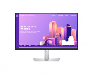 Dell P2422H