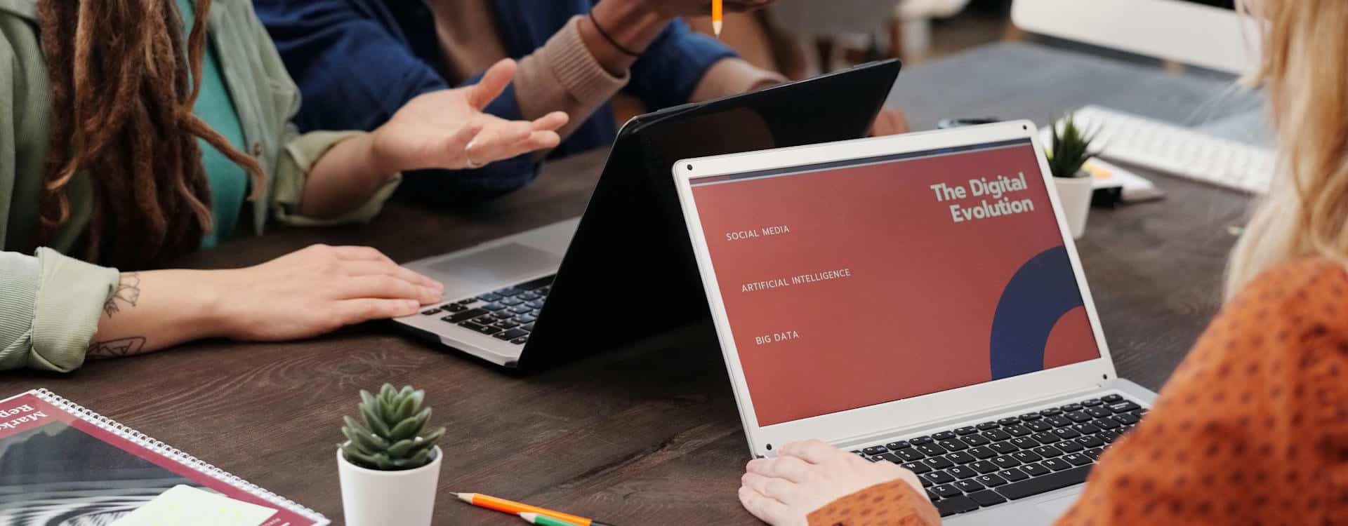 people working on laptops